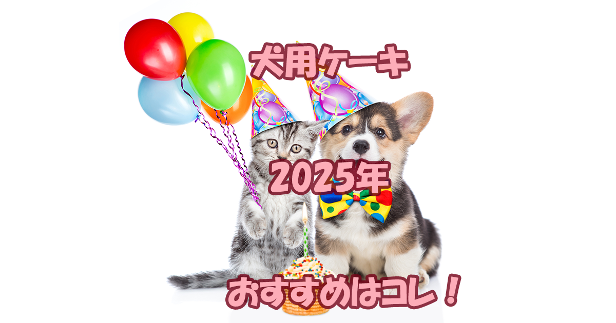 犬用ケーキ　2025